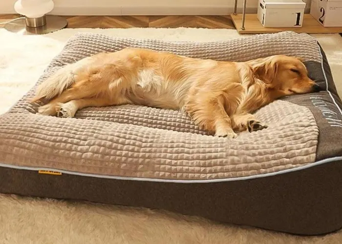 Nieves * Linás de Broto