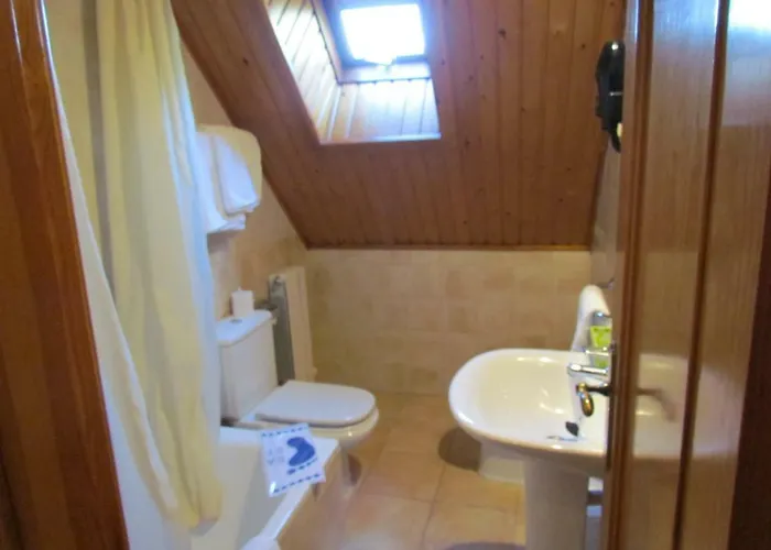 Nieves Linás de Broto